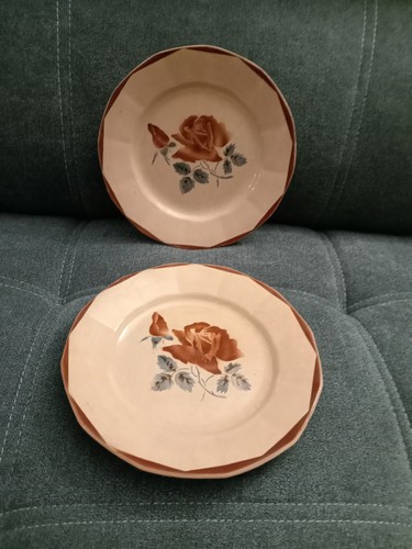 Lot assiettes plates digoin - d'assiettes,