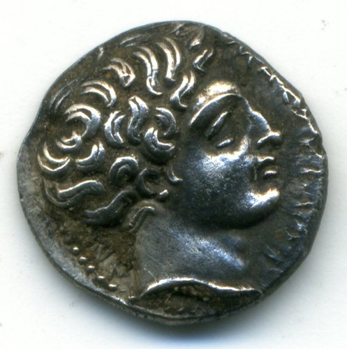 Rare massalia - (4075),