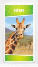 Carte Cartatoto - Girafe