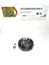 Volant Magnétique ( Rotor