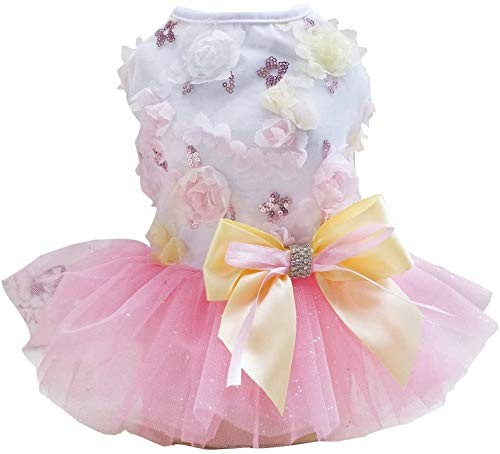 Chien robe chiot - chiot, jupe