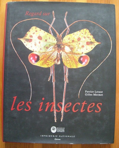 Nature insectes papillons - nature,