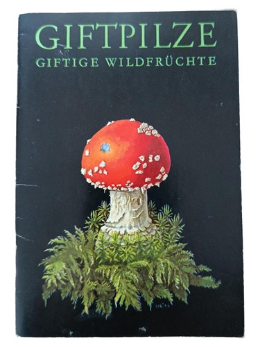 Champignons vénéneux fruits - vénéneux,