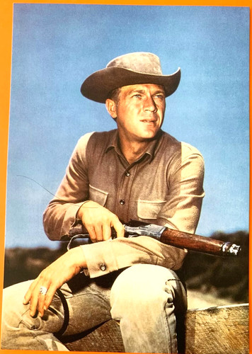 Steve mcqueen wanted - dead, or