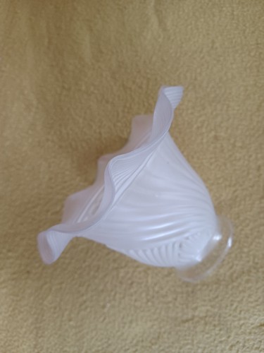Tulipe ancienne pate - tulipe, verre