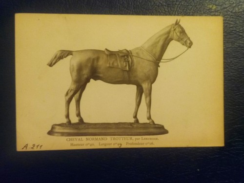 Cpa cheval normand trotteur - cheval,