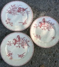 Série de 3 Assiette Plate