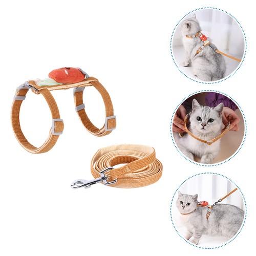 Accessoire chat harnais et - accessoire,