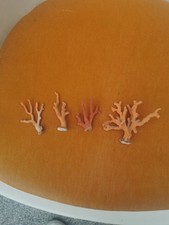 Corail Rouge Ancienne Branches