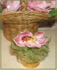 Rosae Christie miniature