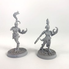 x2 Daemonettes of Slaanesh