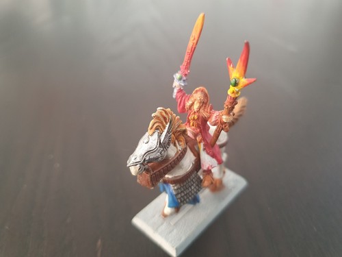 Sorcier mage monté - /,