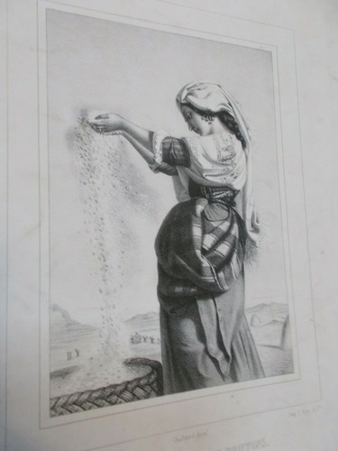 Gravure ancienne vanneuse - ancienne-vanneuse, des