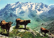 73 GALIBIER ROUTE DU COL DU GALIBIER