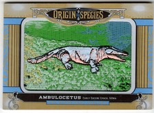 2016 GOODWIN CHAMPIONS #OS280 AMBULOCETUS ORIGIN OF SPECIES PATCH
