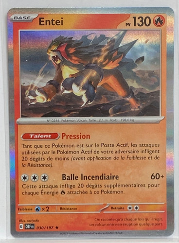 Entei 030 197 holo - 030/197, flammes