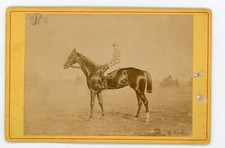 PHOTO Cabinet c.1881, Serpolet