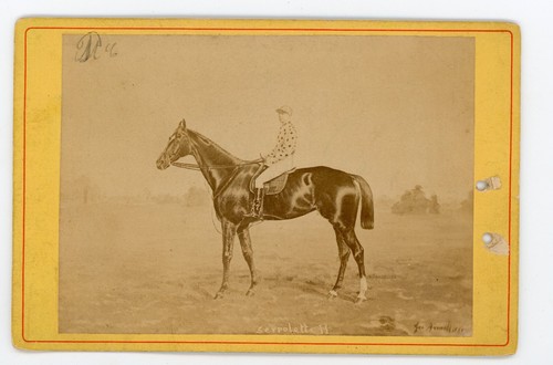 Photo cabinet 1881 - cabinet, serpolet