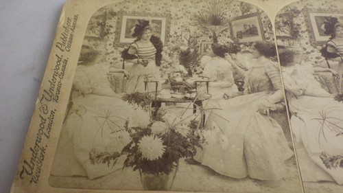 1890 scene salon - 1890.scene,