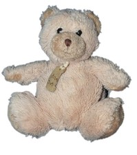 Histoire d'Ours Peluche ours