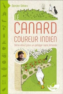Canard coureur indien - indien,