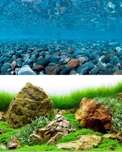 Poster fond aquarium - poster,