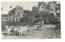 CAMBODGE  ANGKOR  CHAUSSEE
