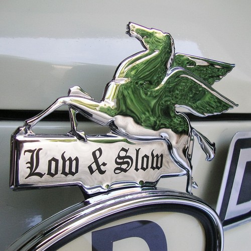Chrome pegasus low slow - pegasus,