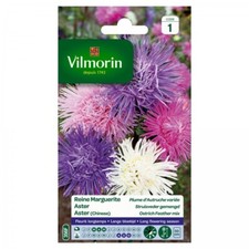 Vilmorin - Reine Marguerite