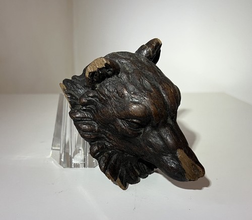Tête chien renard - tête, bois