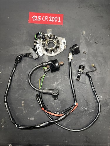 Stator faisceau électrique - faisceau,