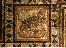 Art - Mosaique - Vaison la Romaine - Quartier de la Villasse - Détail de la Mosa