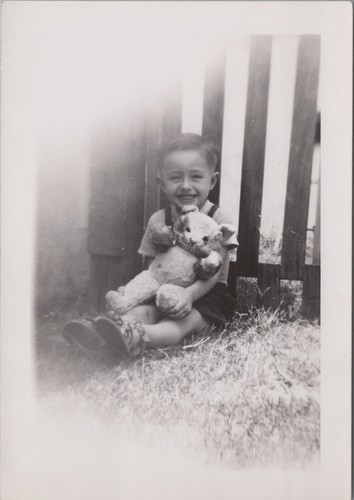 Little boy with teddy bear - little,