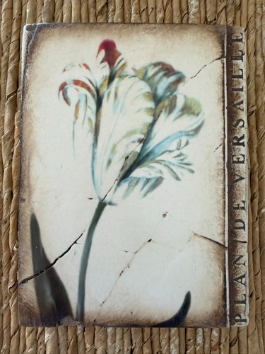 Sid dickens memory - dickens, tile