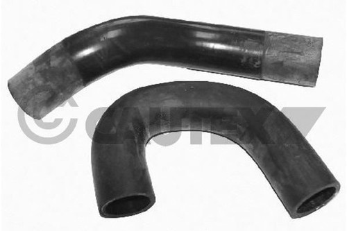 Durite radiateur inferieur - durite, de