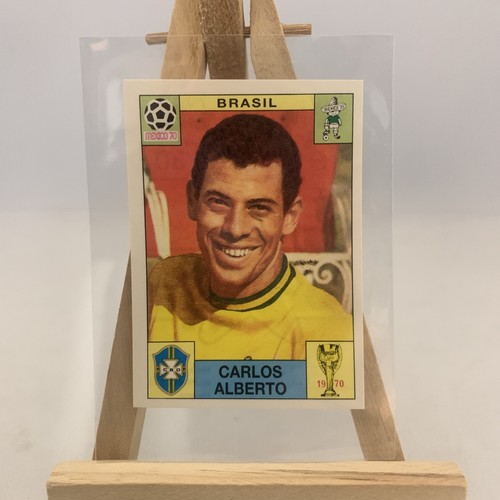 Panini sonrics world cup - world,
