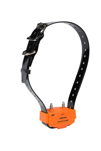 Collier seul dressage pour - de,