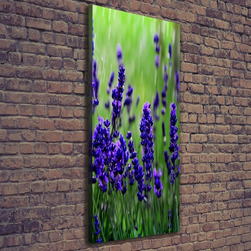 Tulup tableau sur - tulup,