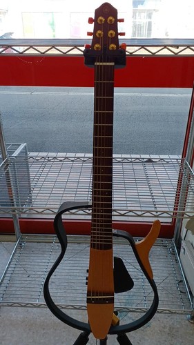 Guitare électrique acoustique