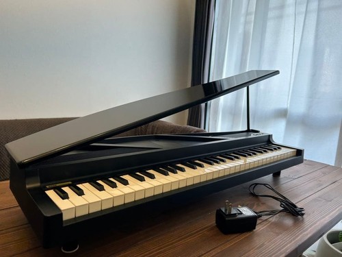 Korg micropiano touches - korg, 61