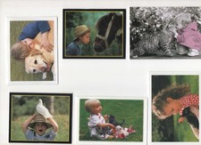 11 calendriers de poche thème