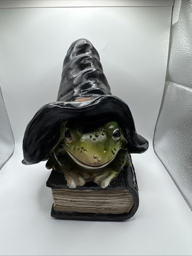 Frog with witch - frog,