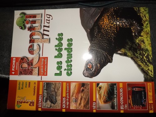 Revue reptil mag 31 - gc,