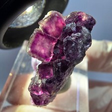 Rare cube de fluorite