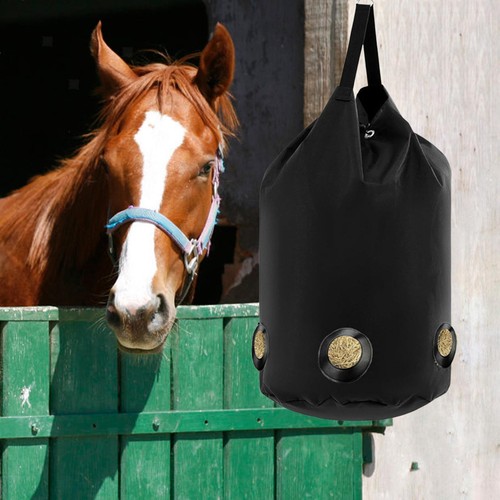 Foin pour chevaux - foin,