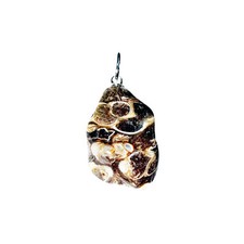 Pendentif Agate fossile -