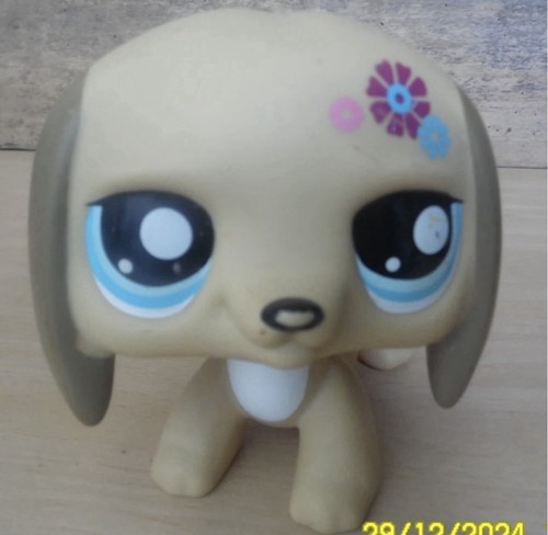 Hasbro little petshop - little,