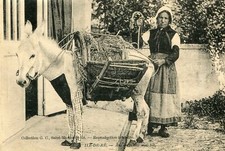 Carte Ile de RE Ane en culotte avec bât