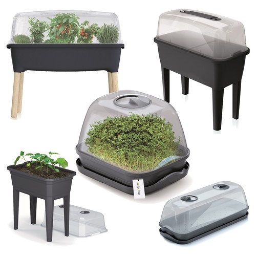 Mini serre pot - mini-serre,