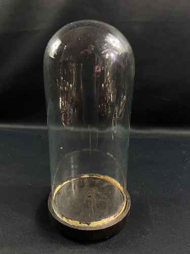 Globe cylindrique xixe - globe,